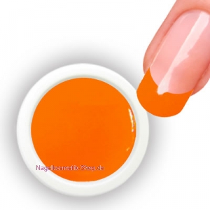 Farbgel Neon Orange 5g/4,34ml